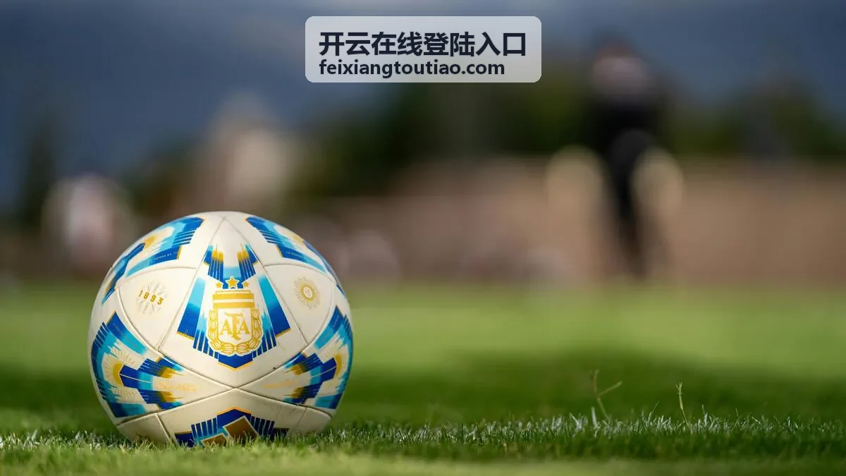 开云在线登陆入口通道检查示意