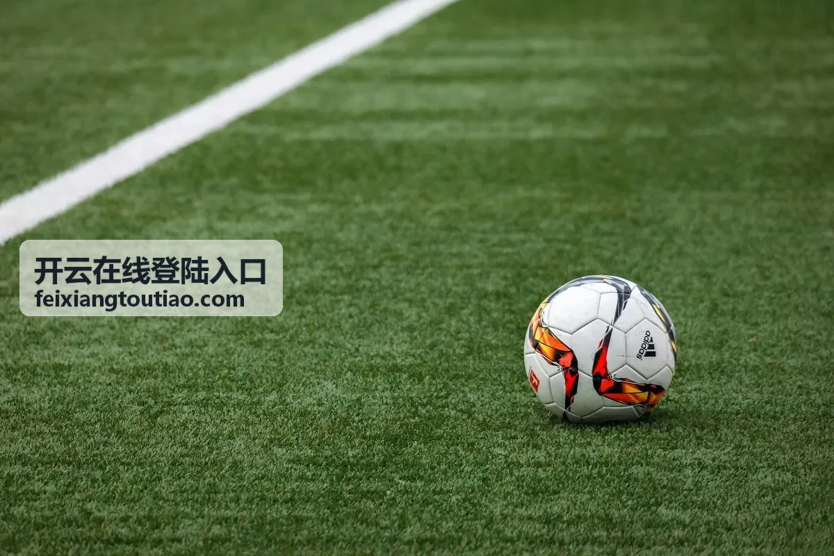 开云在线登陆入口操作指南封面