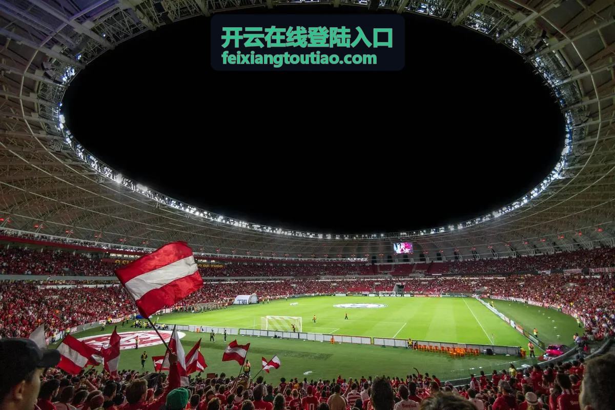 开云在线登陆入口账号安全防护示意